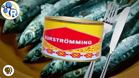 worst smelling fish in a can|Surströmming: The Swedish Stinky Fish Delicacy